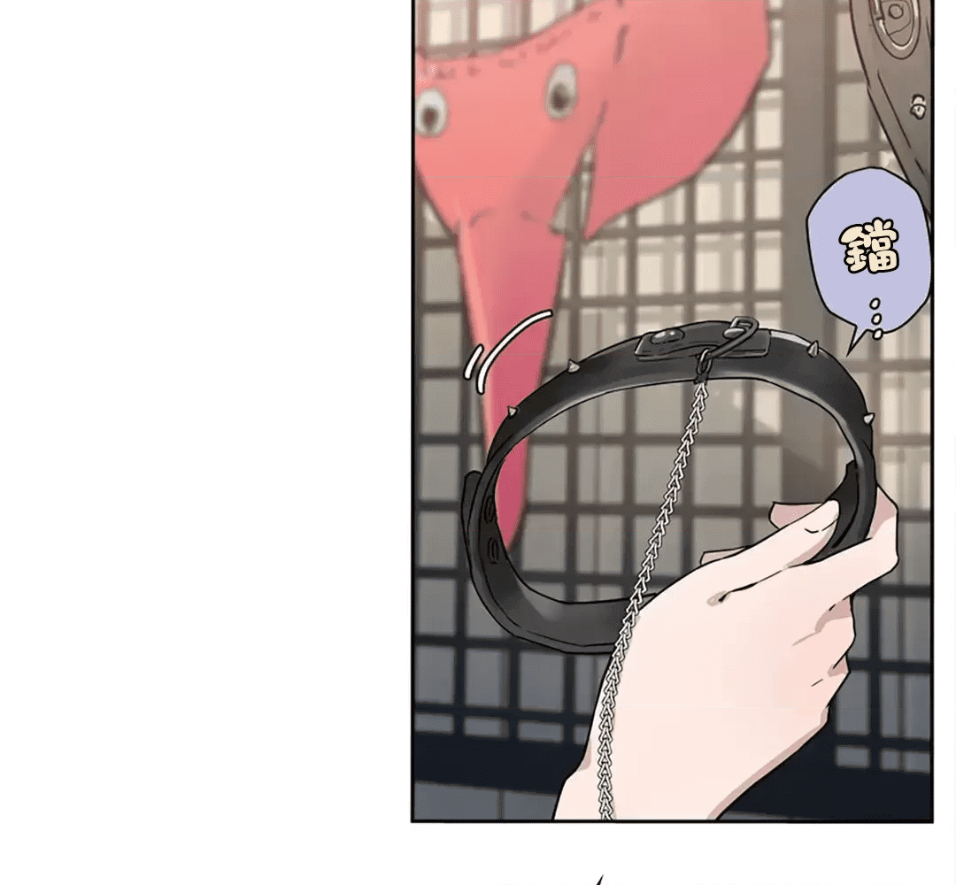 第199页